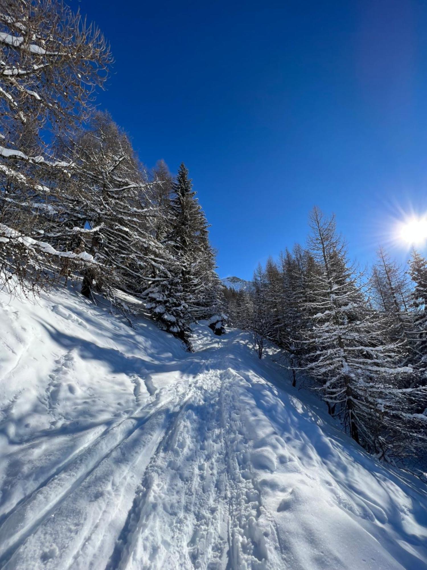 Chalet Altus Sainte-Foy-Tarentaise Exterior foto