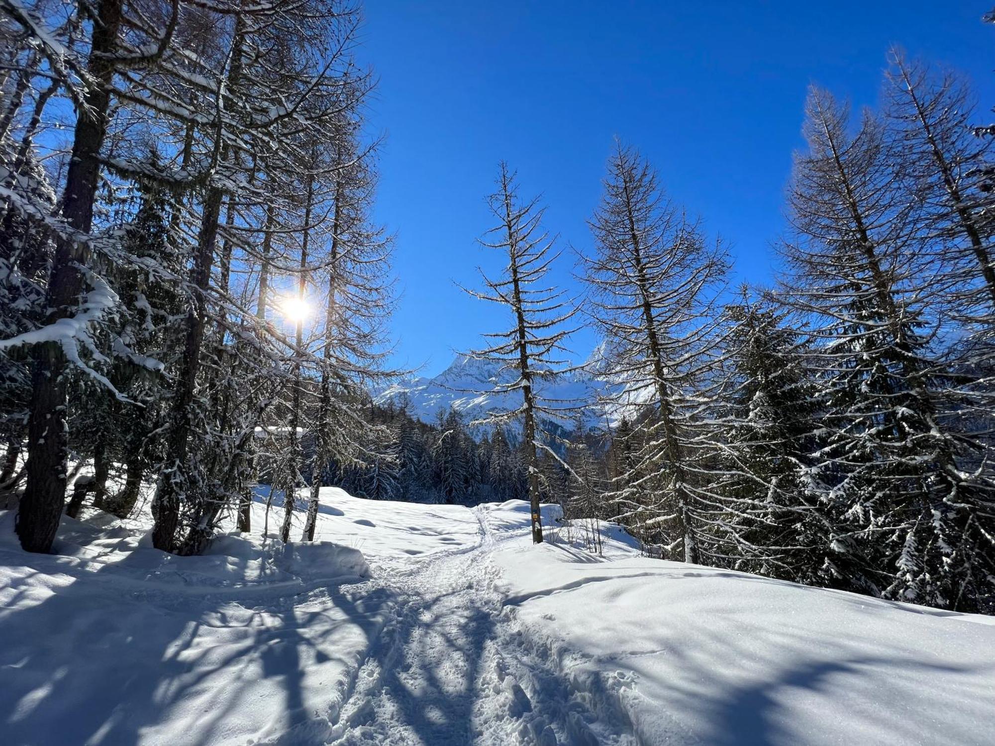 Chalet Altus Sainte-Foy-Tarentaise Exterior foto
